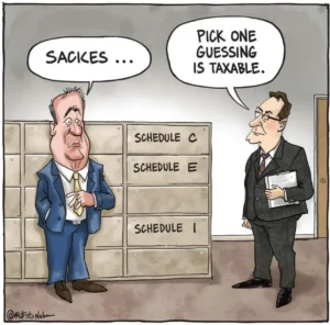 Schedule C Schedule E Schedule 1 where to report 1099-K payments cartoon